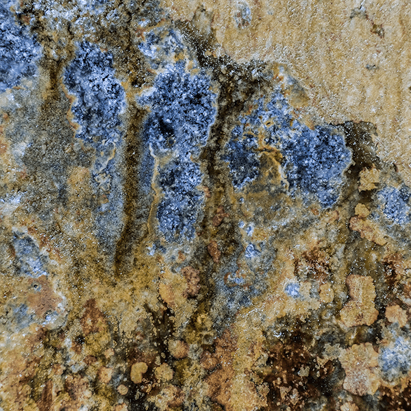 Richard Munster and Michael Luis Diaz Photograph Richard Munster and Michael Luis Diaz Photograph