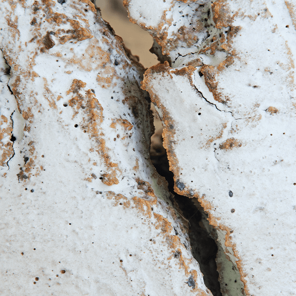 Richard Munster and Michael Luis Diaz Photograph Richard Munster and Michael Luis Diaz Photograph