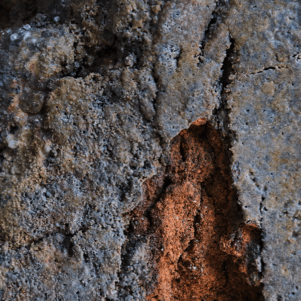 Richard Munster and Michael Luis Diaz Photograph Richard Munster and Michael Luis Diaz Photograph