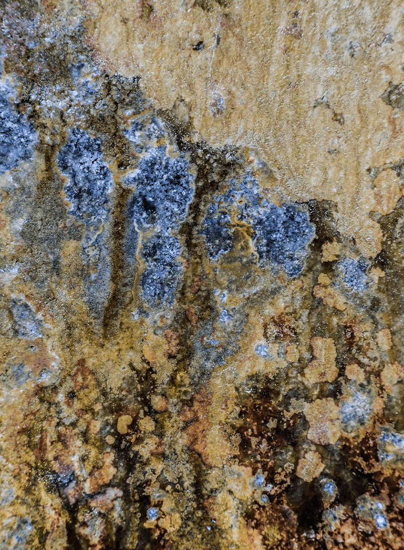Richard Munster and Michael Luis Diaz Photograph