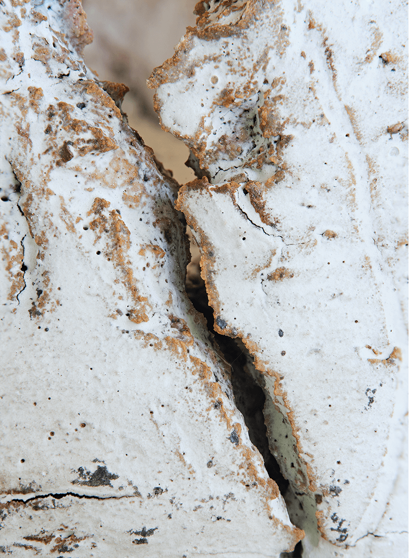 Richard Munster and Michael Luis Diaz Photograph