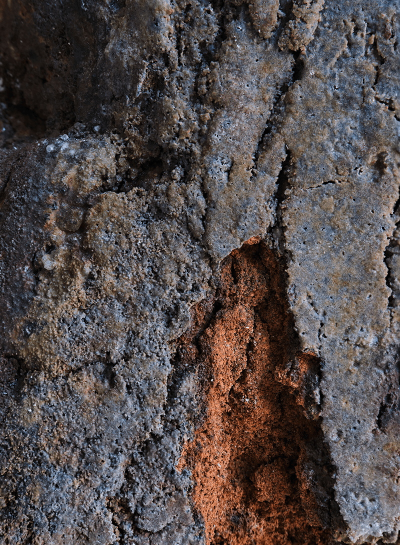 Richard Munster and Michael Luis Diaz Photograph