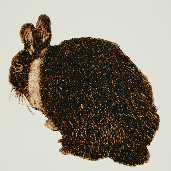 Rousey Rabbit Rousey Rabbit