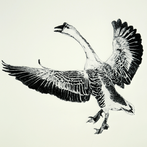 Spruce Goose Spruce Goose