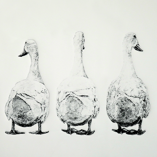 Duct Tails Duct Tails