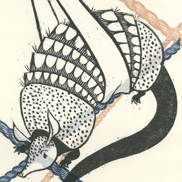 Dillo Dangle Dillo Dangle