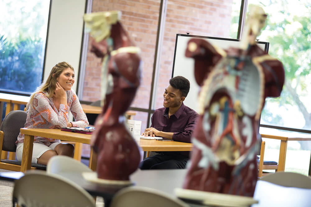 Students studying in Health Sciences Services building