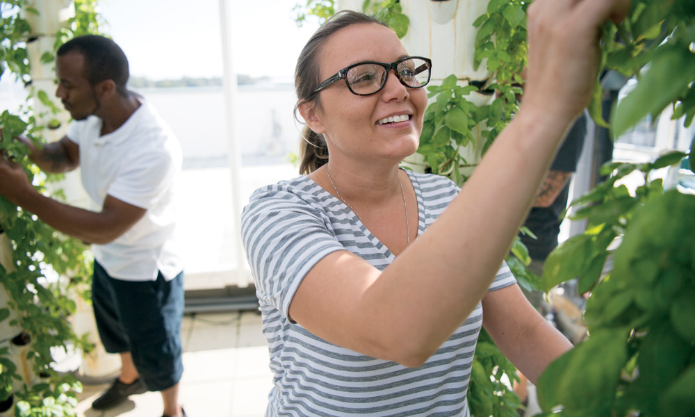 Aquaponics Hydroponics