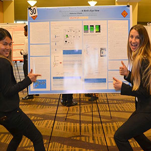 Spring 2018 Showcase